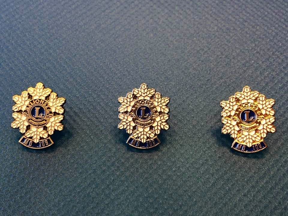 Heiðurssjóður Guðrúnar Bjartar - Íslenski hjálparsjóðurinn